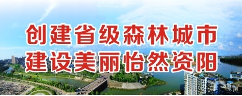 看中国女人与黑人的黄色视频创建省级森林城市 建设美丽怡然资阳